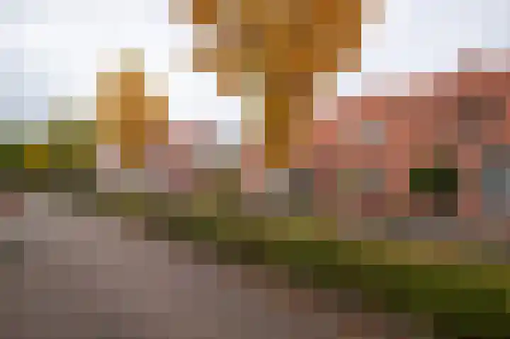 Zuidersingel 13 Groningen thumbnail 34