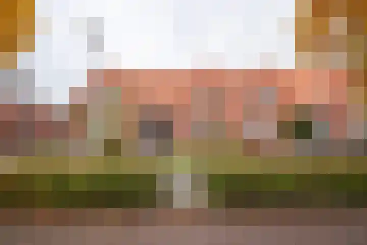 Zuidersingel 13 Groningen thumbnail 35