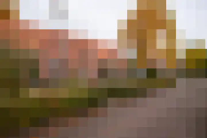 Zuidersingel 13 Groningen thumbnail 37