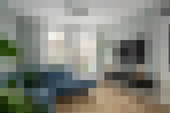 Zuidersingel 13 Groningen thumbnail 7