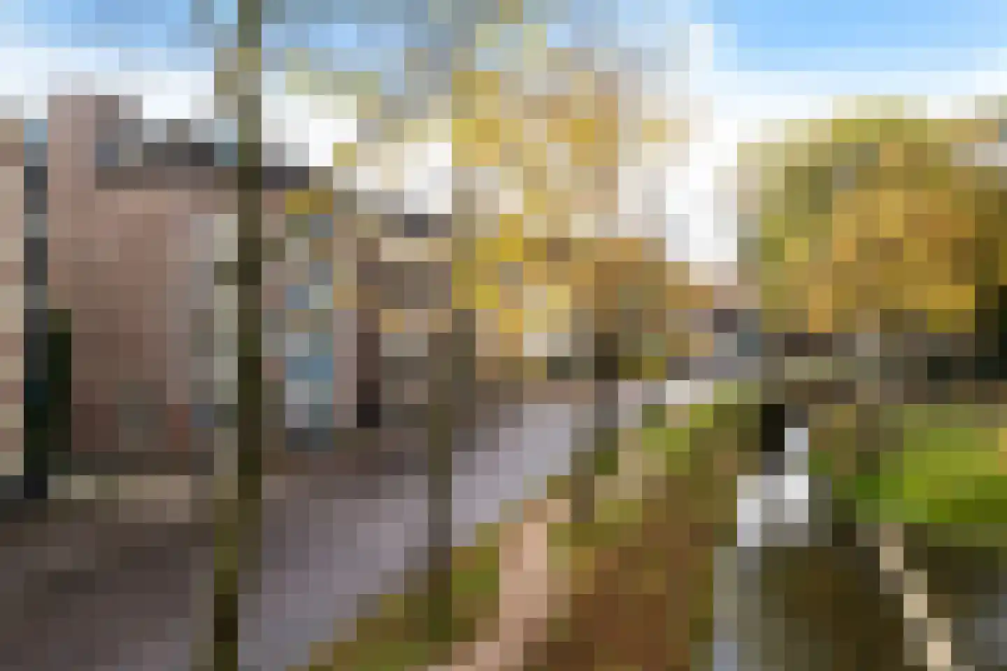 Zuidersingel 15 Assen thumbnail 46