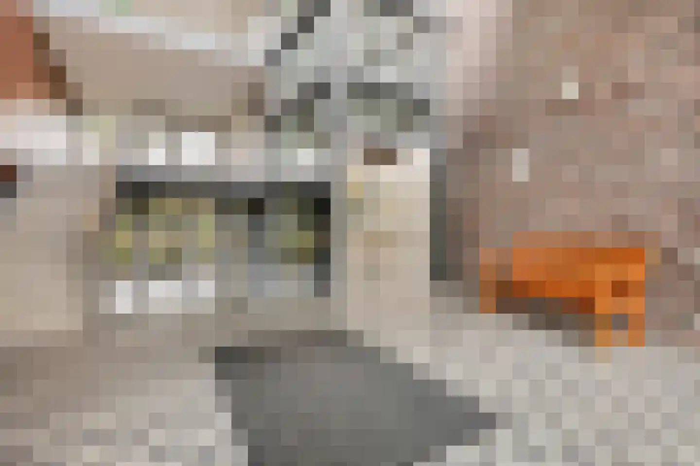 Zuidersingel 166 Barendrecht thumbnail 8