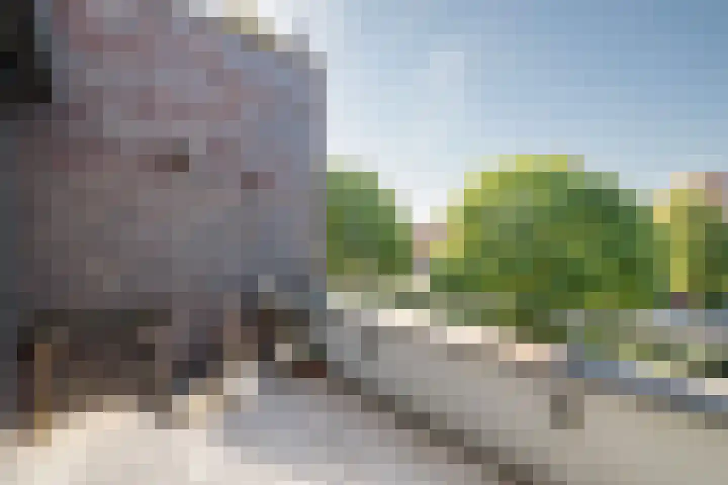 Zuidersingel 172 Barendrecht thumbnail 13