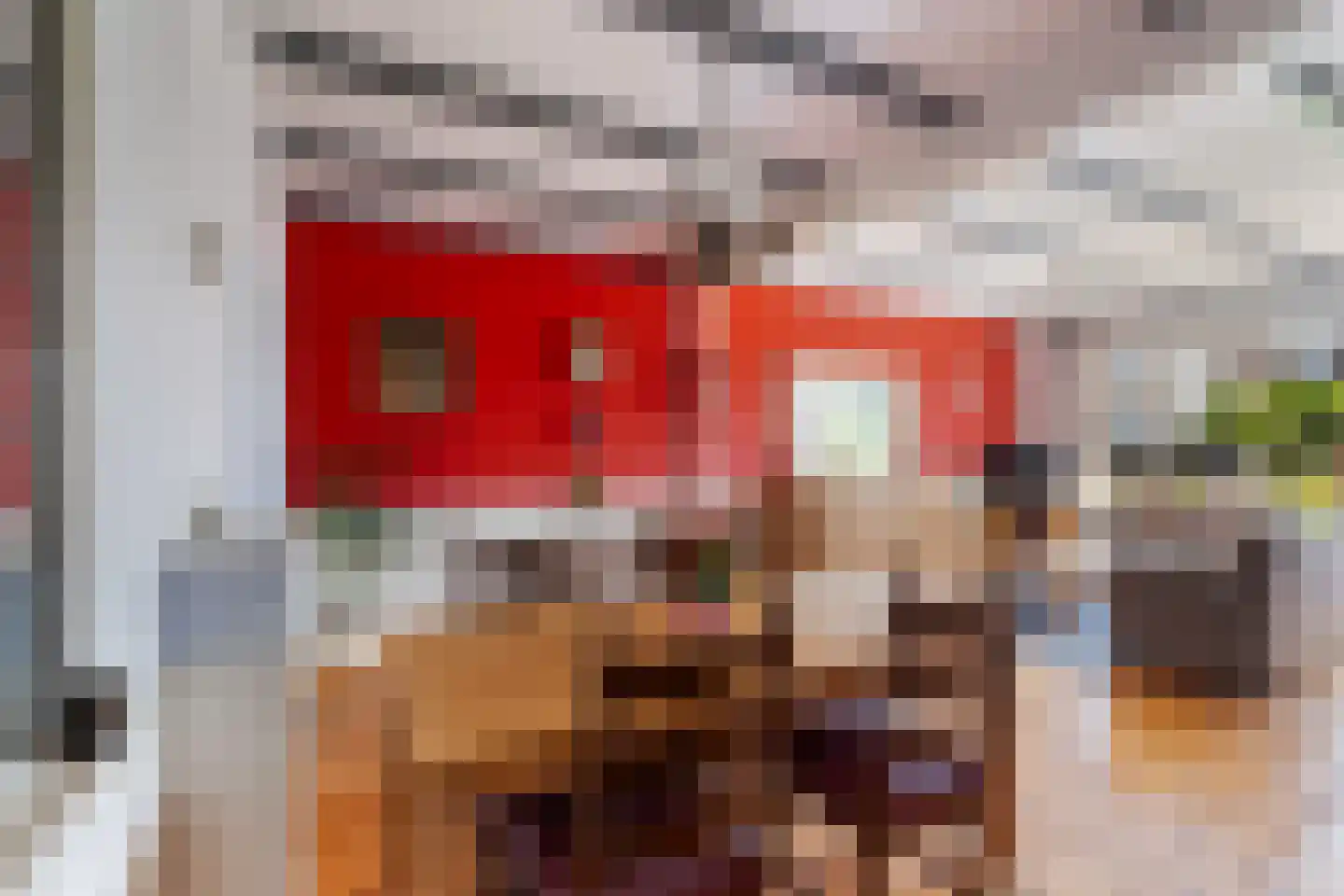 Zuidersingel 18 Berkel en Rodenrijs thumbnail 10