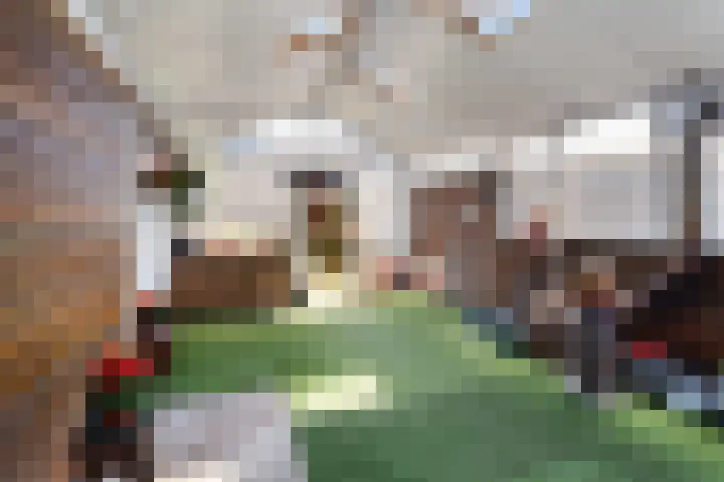 Zuidersingel 18 Berkel en Rodenrijs thumbnail 4
