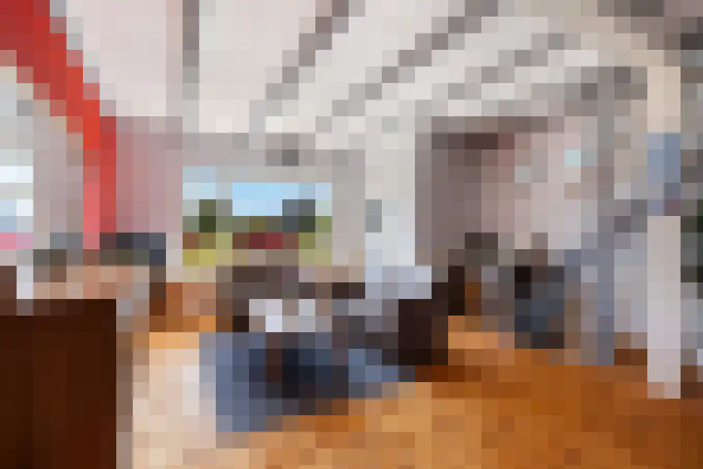 Zuidersingel 18 Berkel en Rodenrijs thumbnail 6