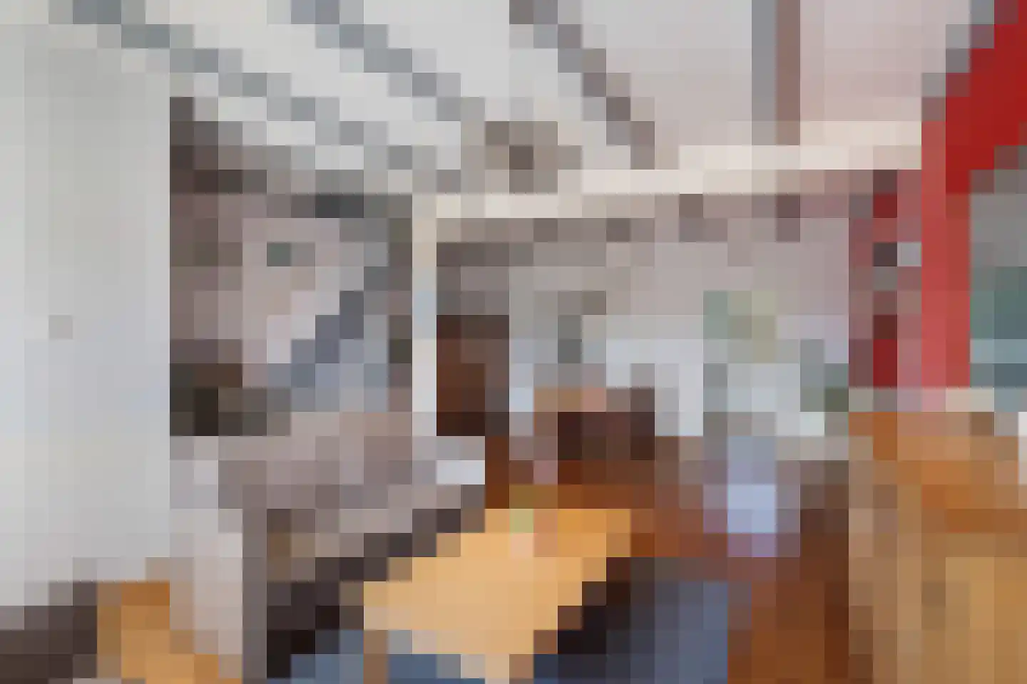 Zuidersingel 18 Berkel en Rodenrijs thumbnail 8