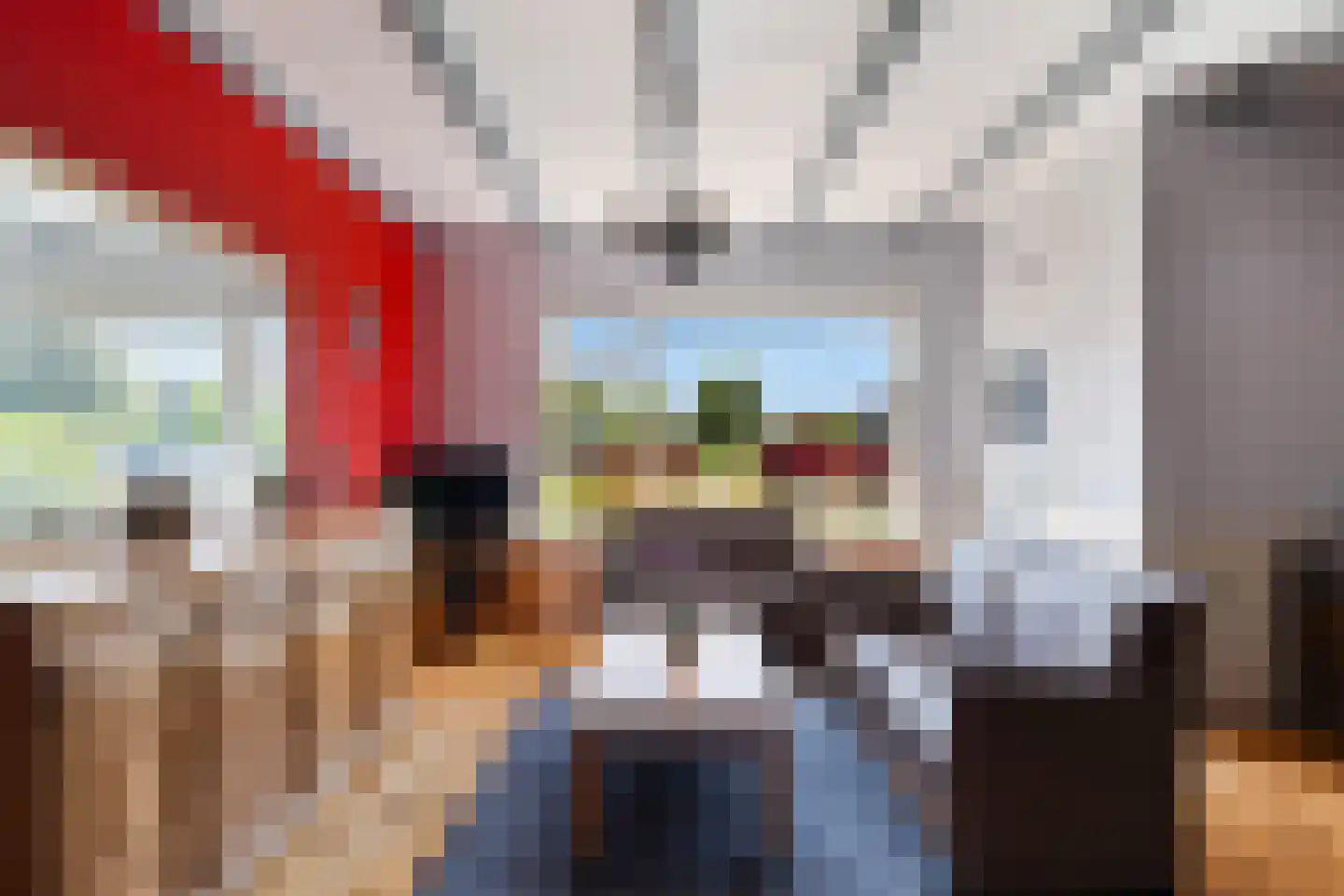 Zuidersingel 18 Berkel en Rodenrijs thumbnail 9