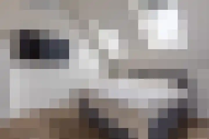 Zuidersingel 33 Eemnes thumbnail 17