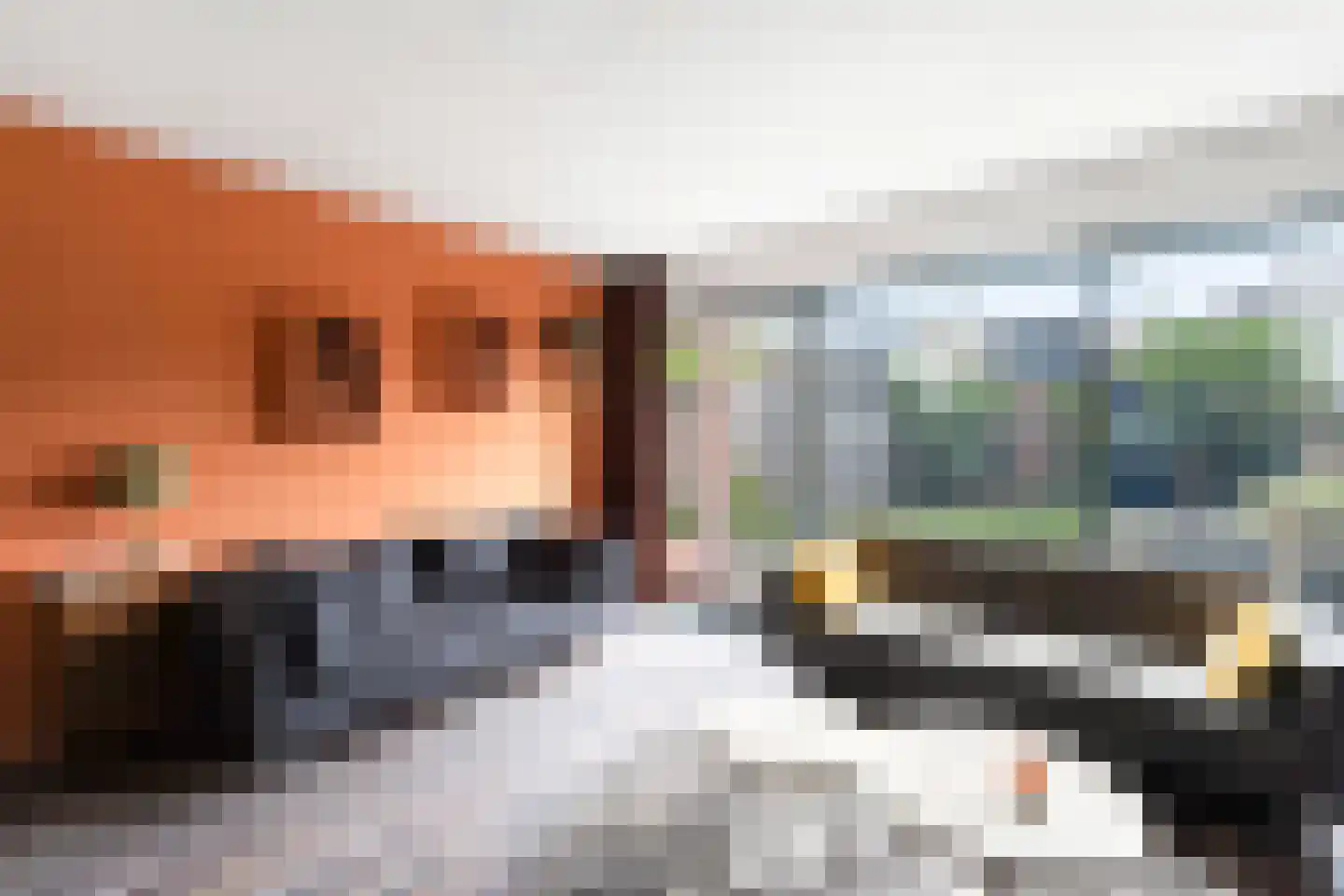 Zuidersingel 39 Berkel en Rodenrijs thumbnail 10
