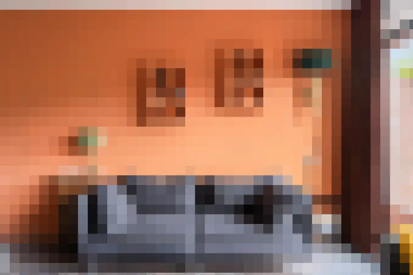 Zuidersingel 39 Berkel en Rodenrijs thumbnail 11