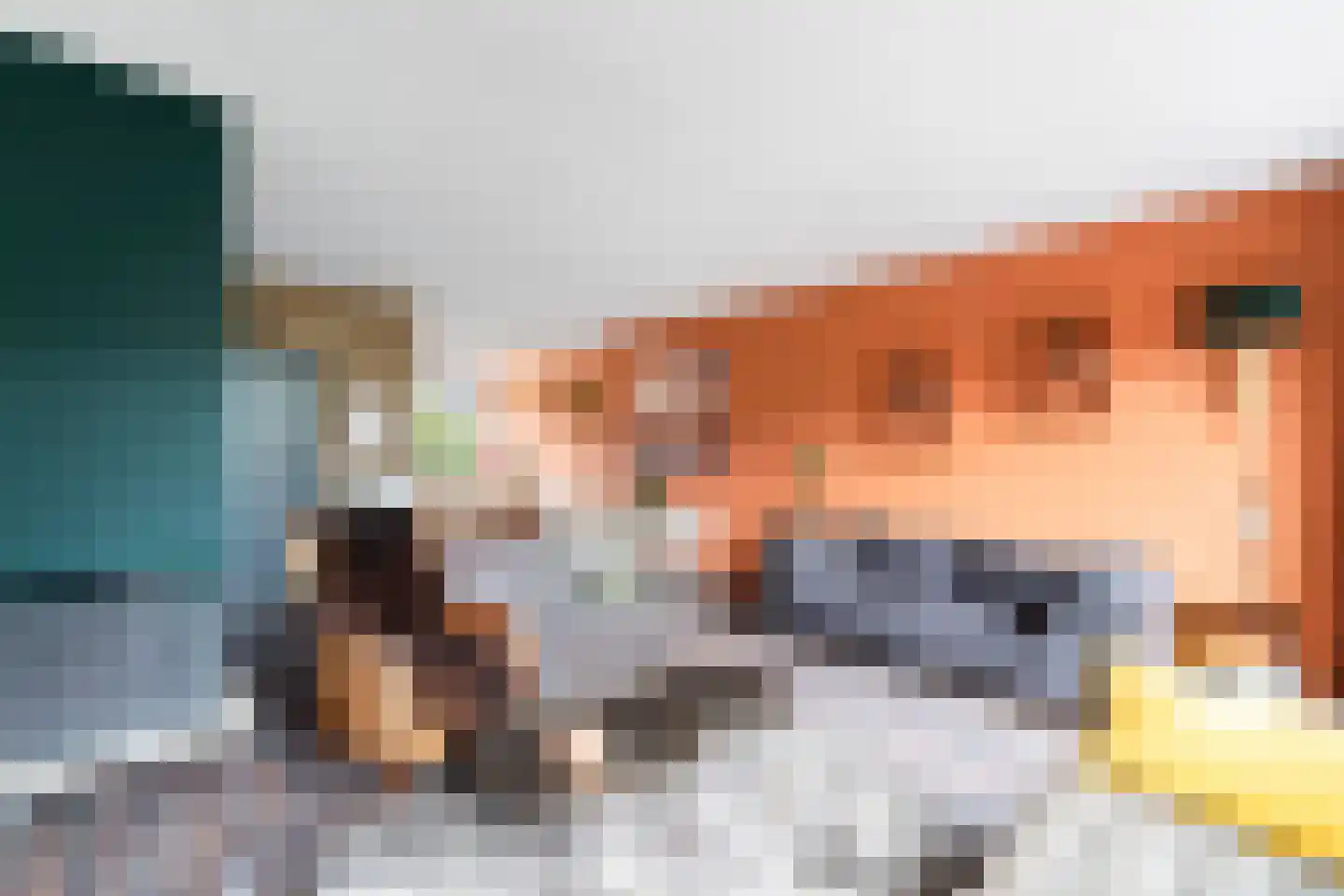 Zuidersingel 39 Berkel en Rodenrijs thumbnail 12