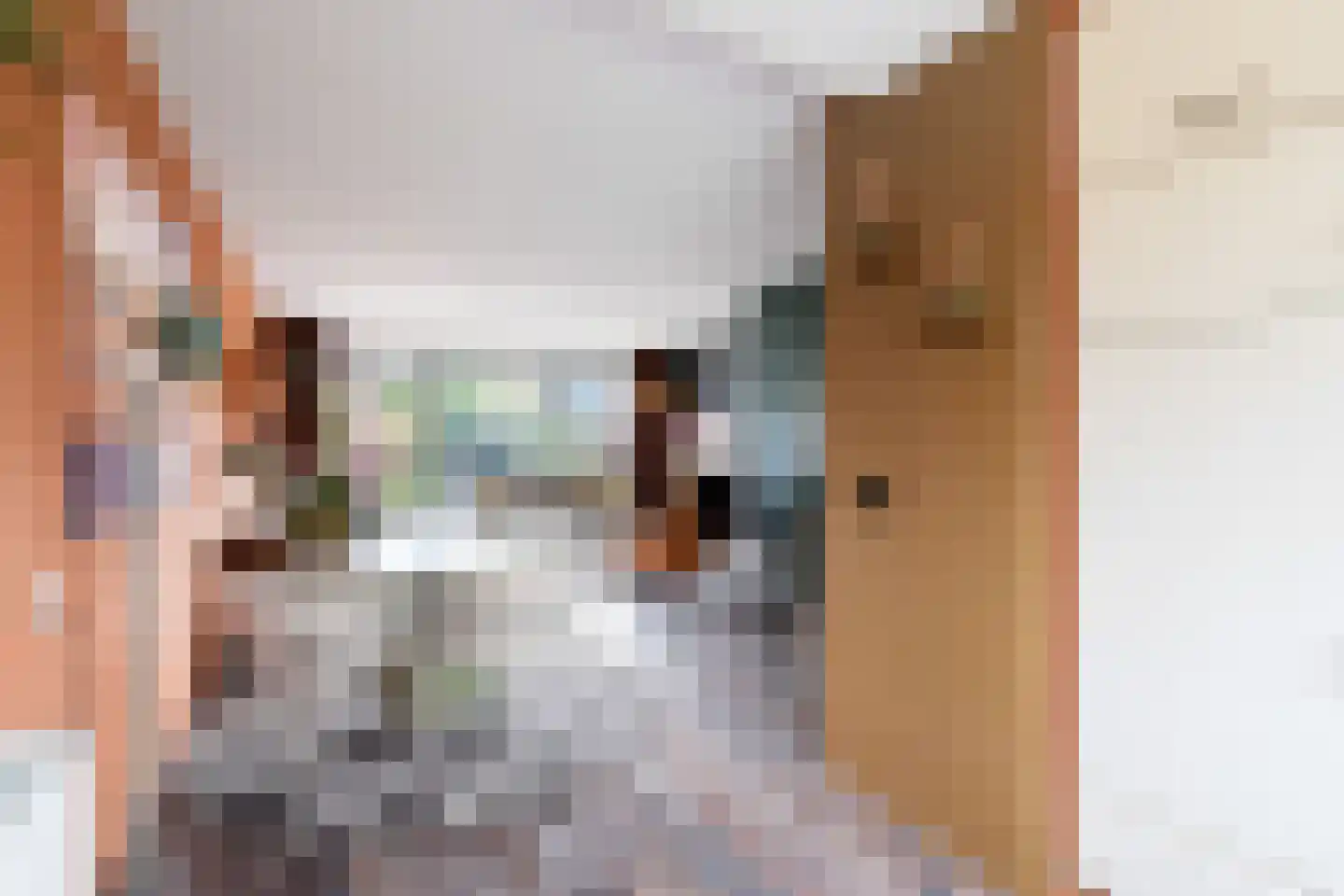 Zuidersingel 39 Berkel en Rodenrijs thumbnail 16