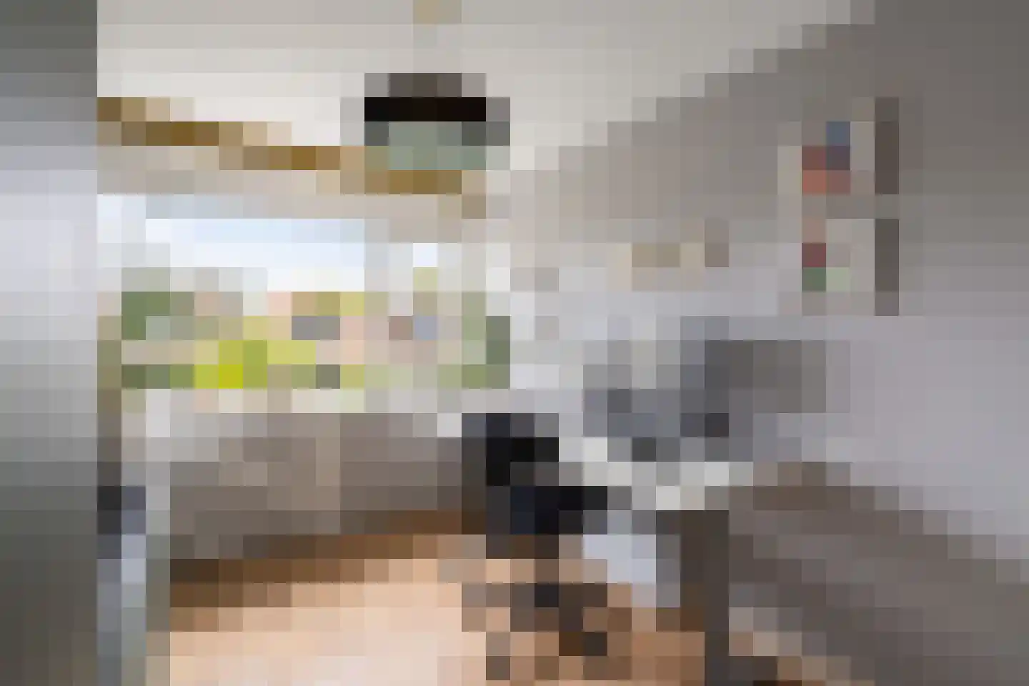 Zuidersingel 39 Berkel en Rodenrijs thumbnail 23