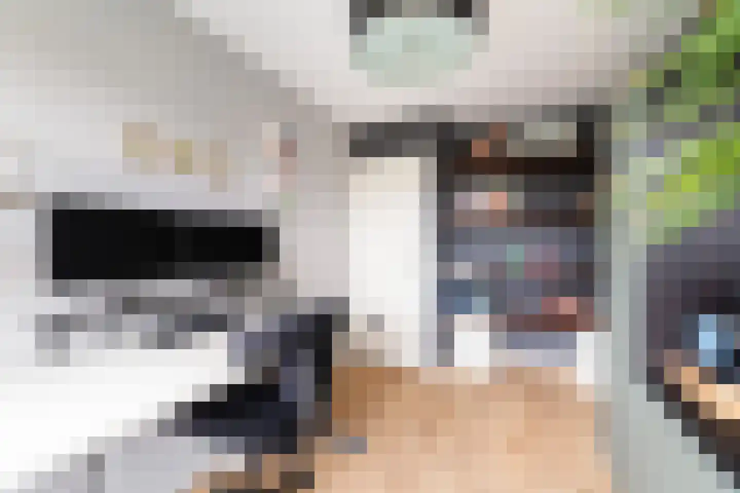Zuidersingel 39 Berkel en Rodenrijs thumbnail 27