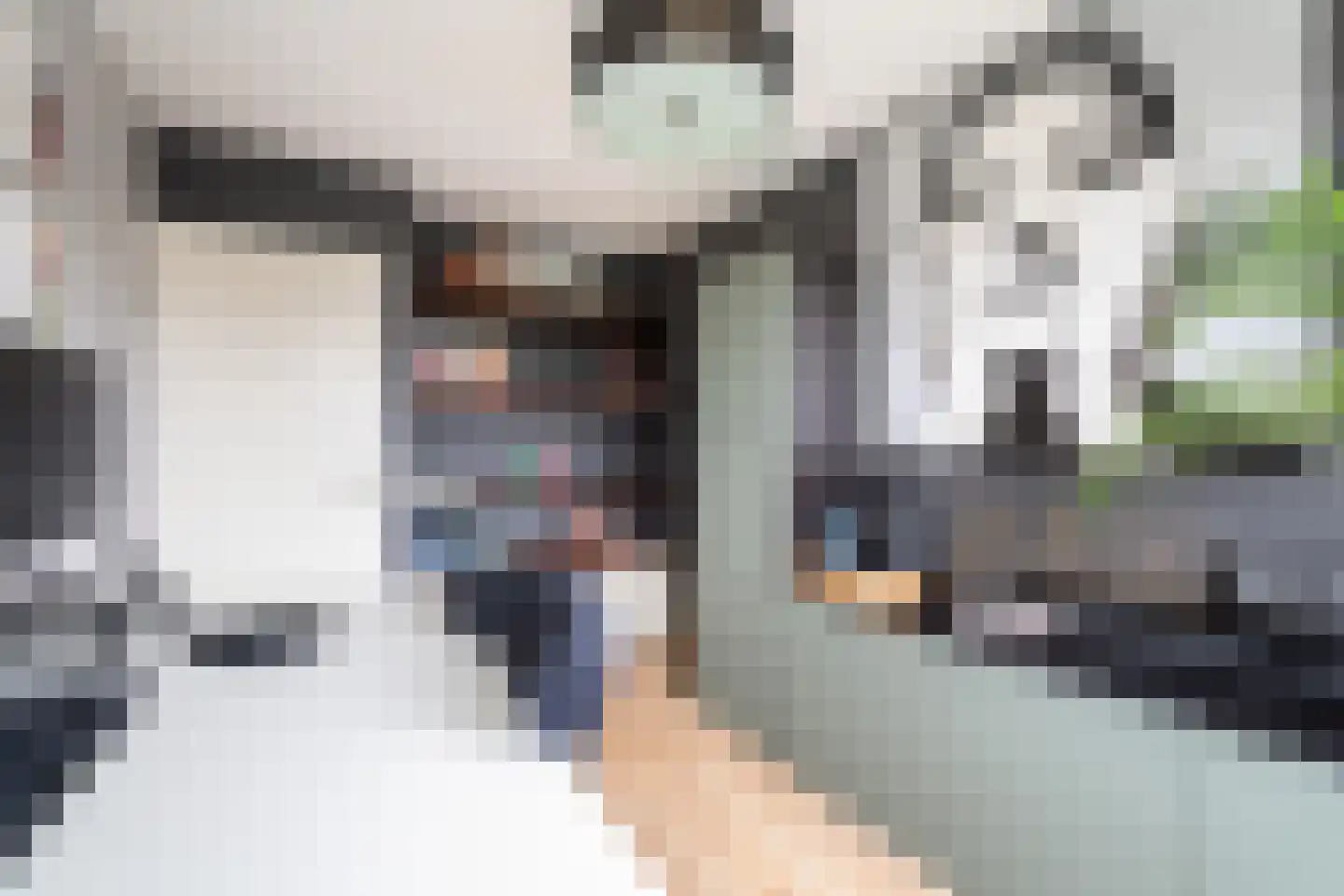 Zuidersingel 39 Berkel en Rodenrijs thumbnail 28
