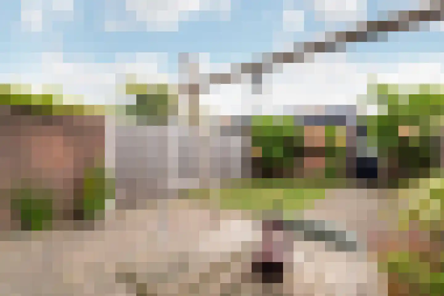 Zuidersingel 39 Berkel en Rodenrijs thumbnail 35