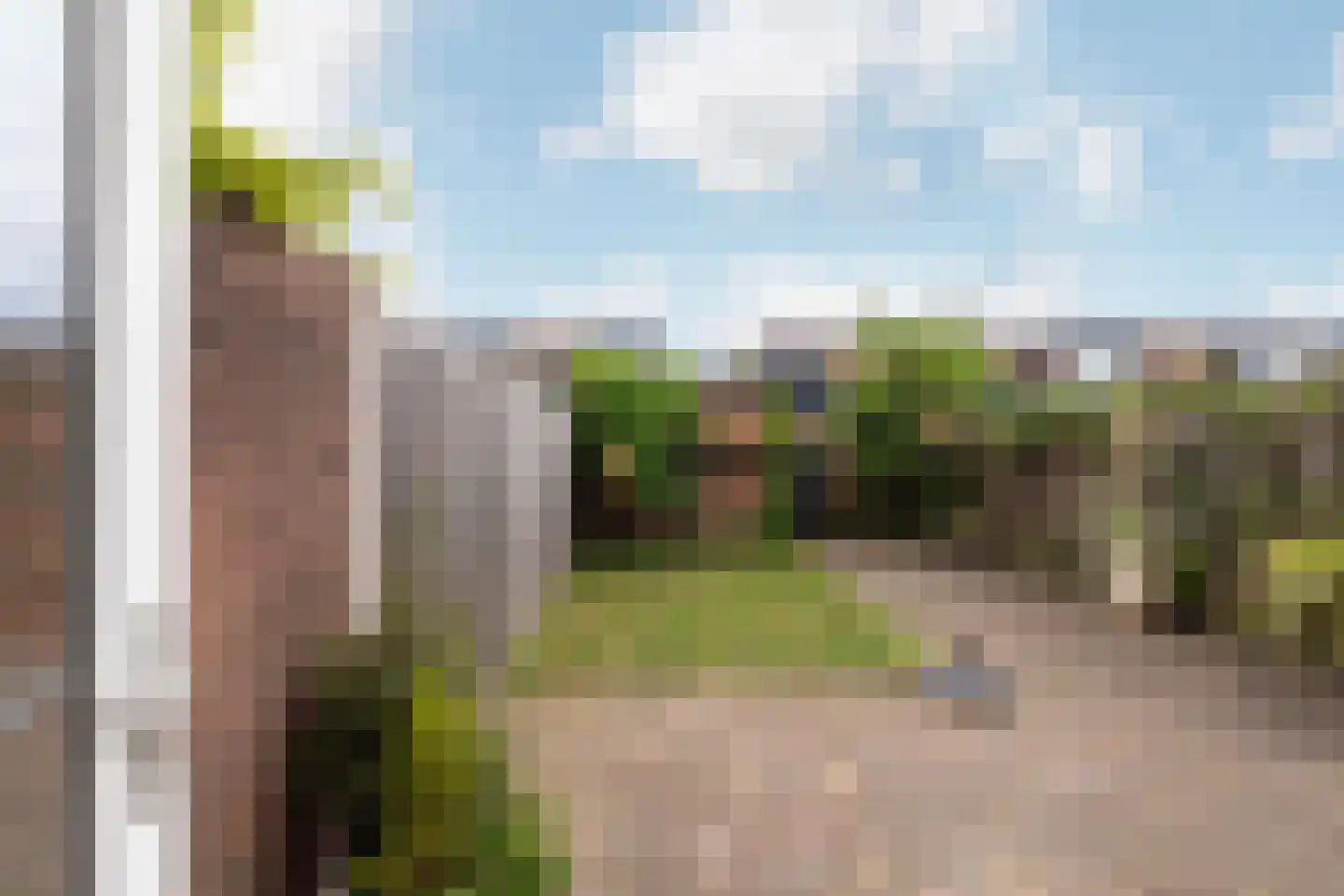 Zuidersingel 39 Berkel en Rodenrijs thumbnail 37