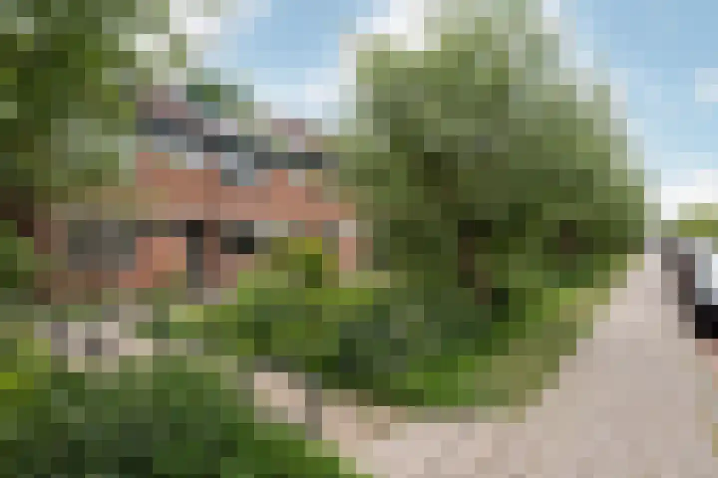 Zuidersingel 39 Berkel en Rodenrijs thumbnail 38