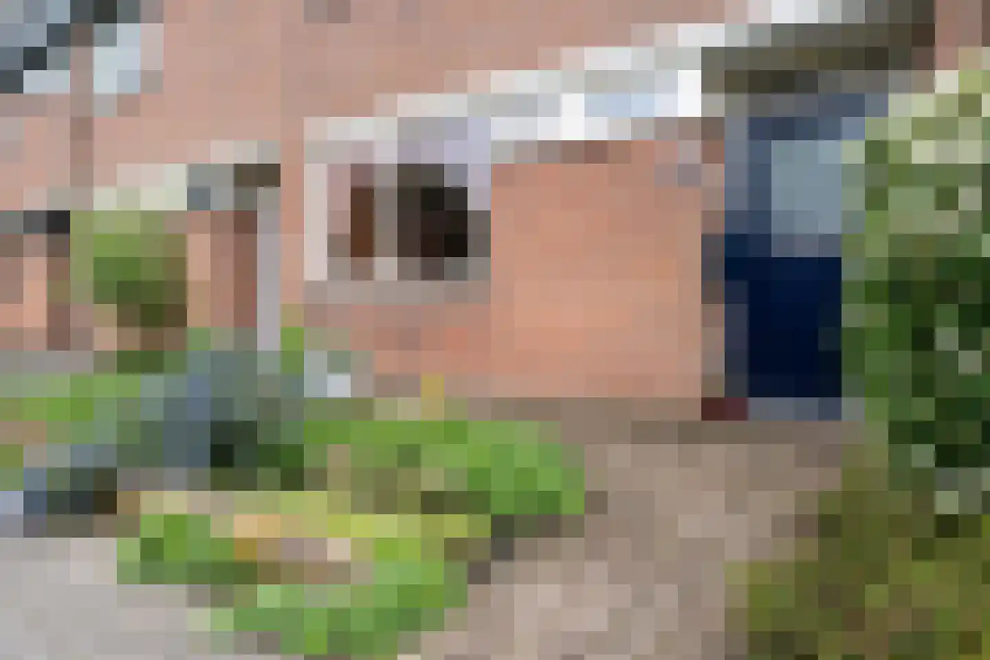 Zuidersingel 39 Berkel en Rodenrijs thumbnail 39