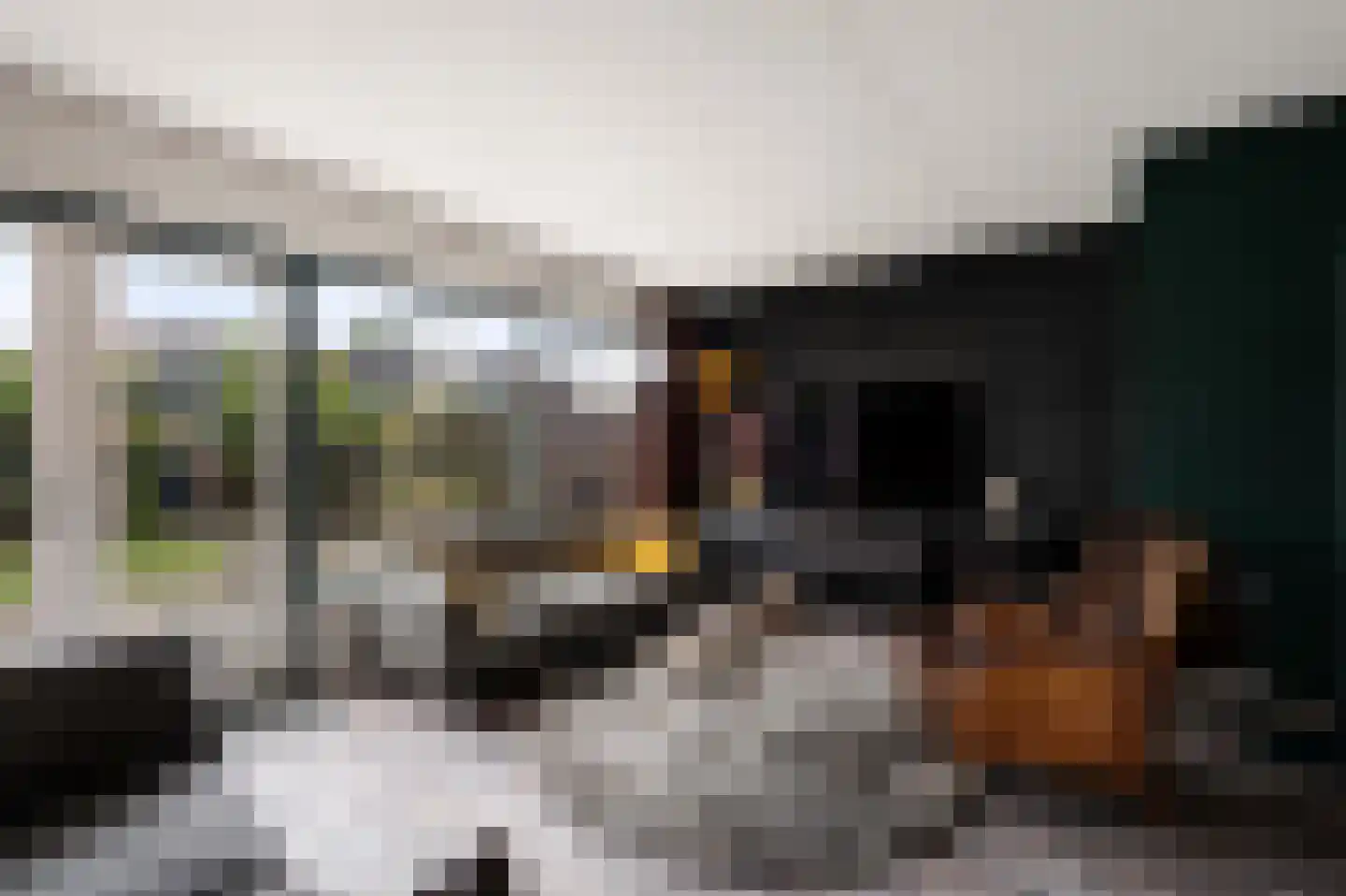 Zuidersingel 39 Berkel en Rodenrijs thumbnail 4