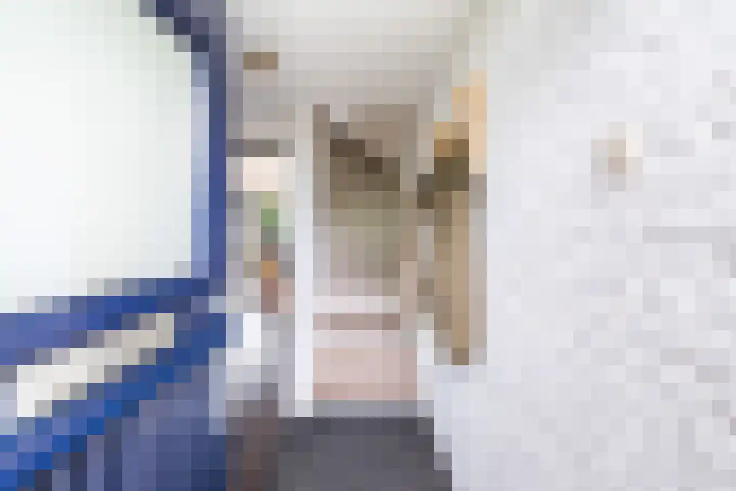 Zuidersingel 39 Berkel en Rodenrijs thumbnail 5