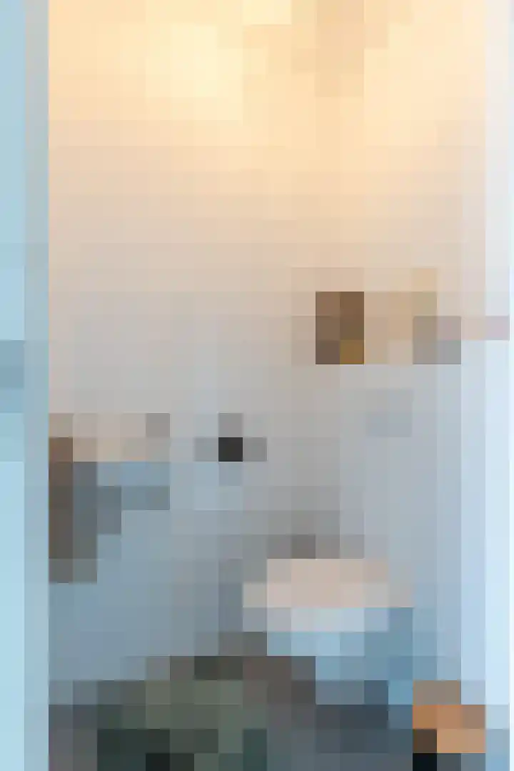 Zuidersingel 43 Eemnes thumbnail 11