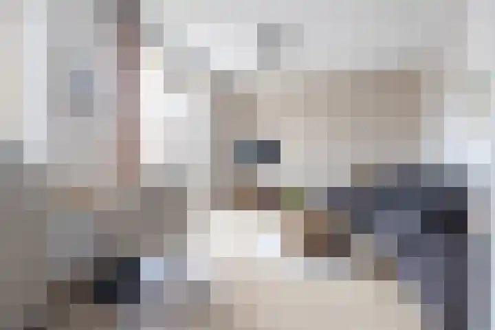 Zuidersingel 43 Eemnes thumbnail 4