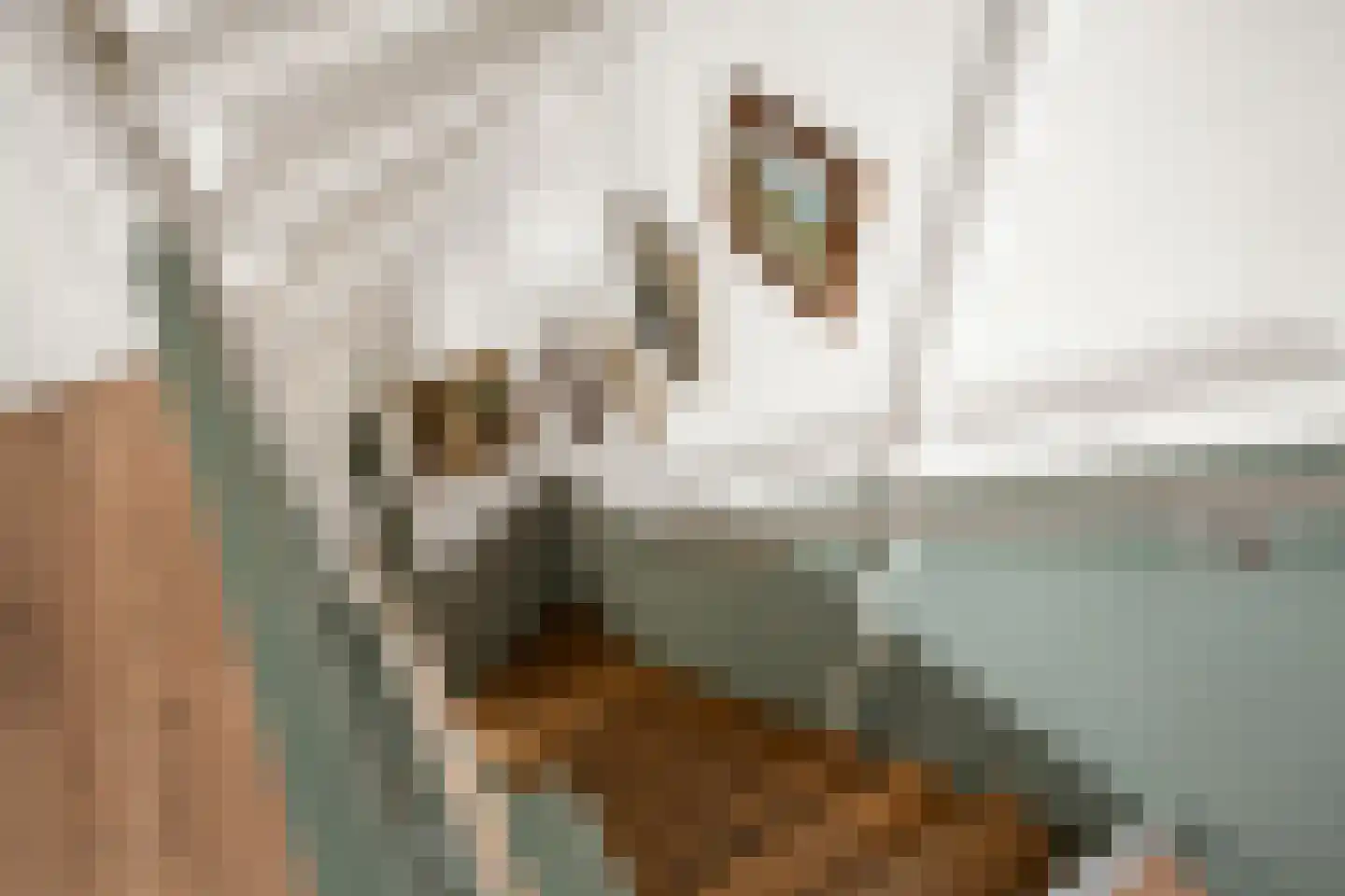 Zuidersingel 61 Berkel en Rodenrijs thumbnail 19