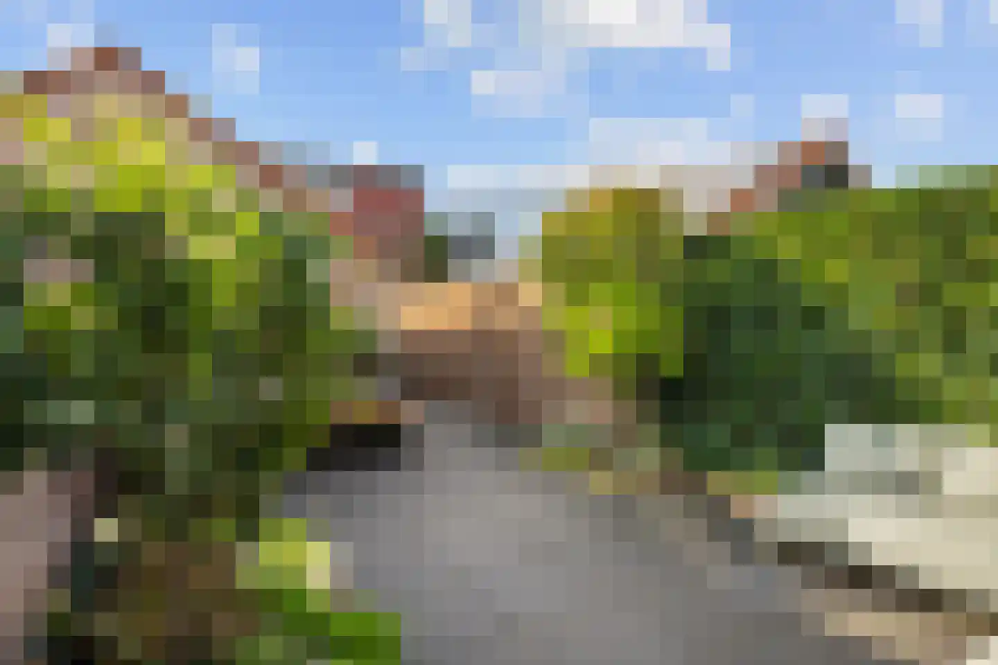 Zuidersingel 61 Berkel en Rodenrijs thumbnail 33