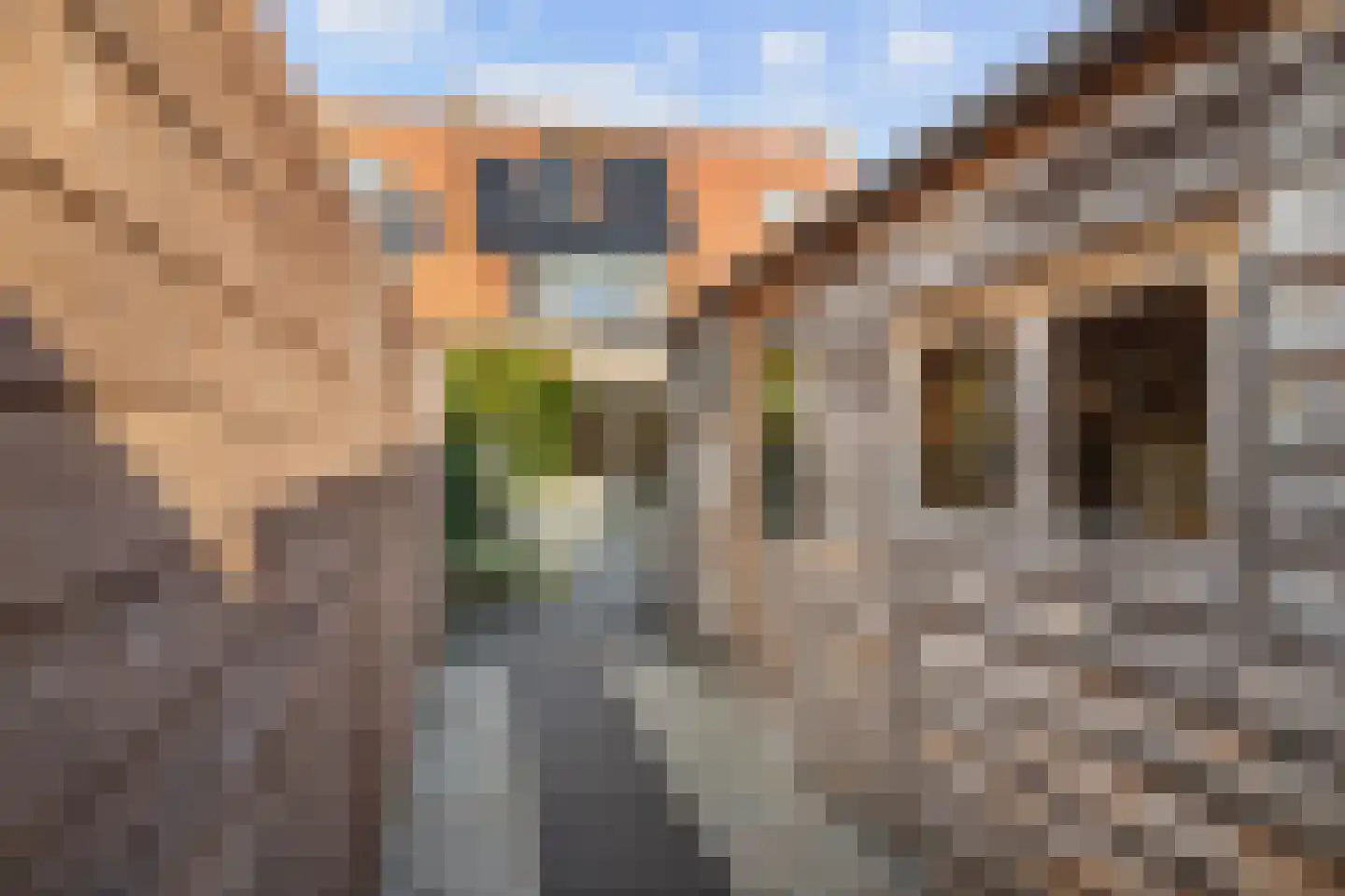Zuidersingel 61 Berkel en Rodenrijs thumbnail 38