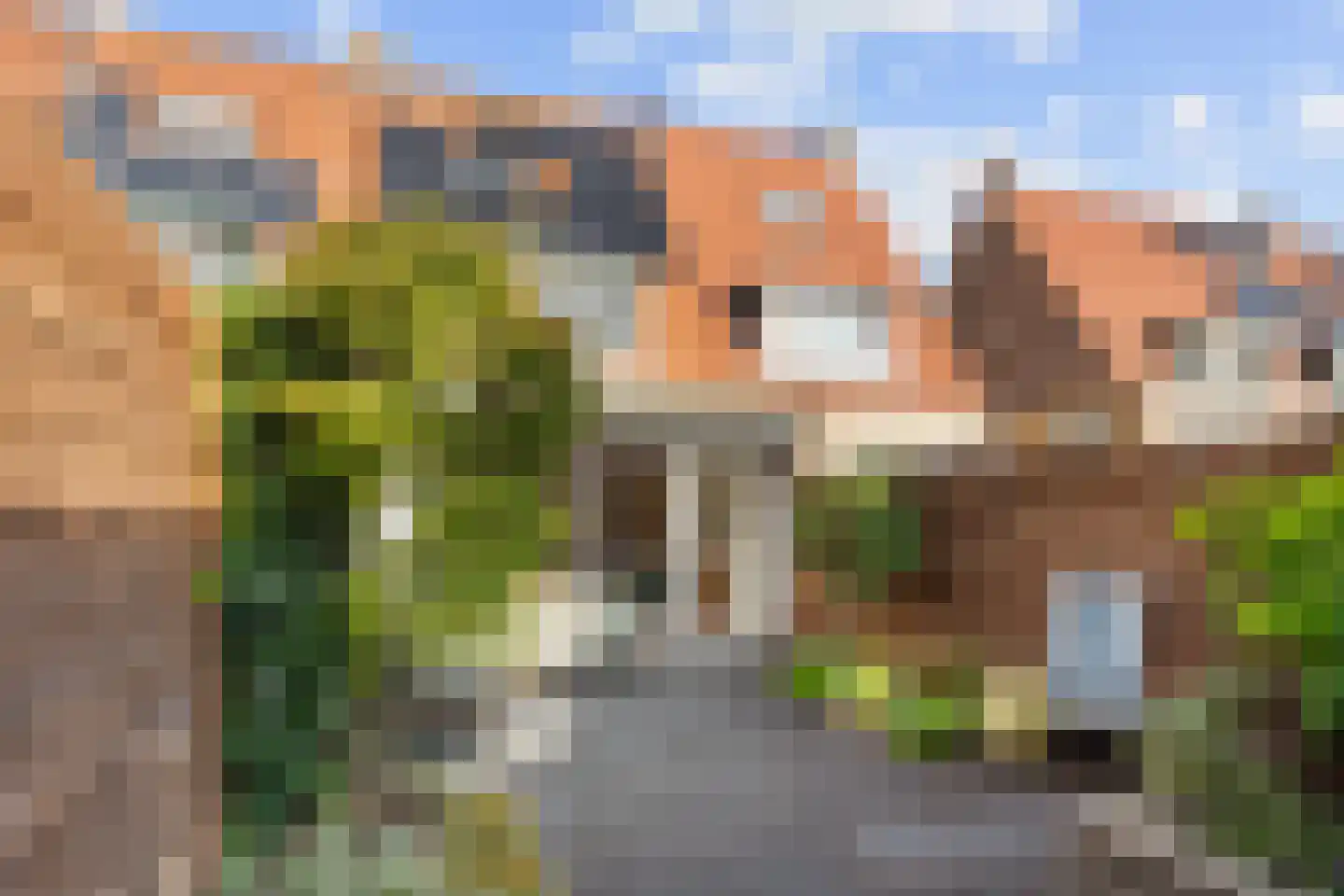 Zuidersingel 61 Berkel en Rodenrijs thumbnail 39