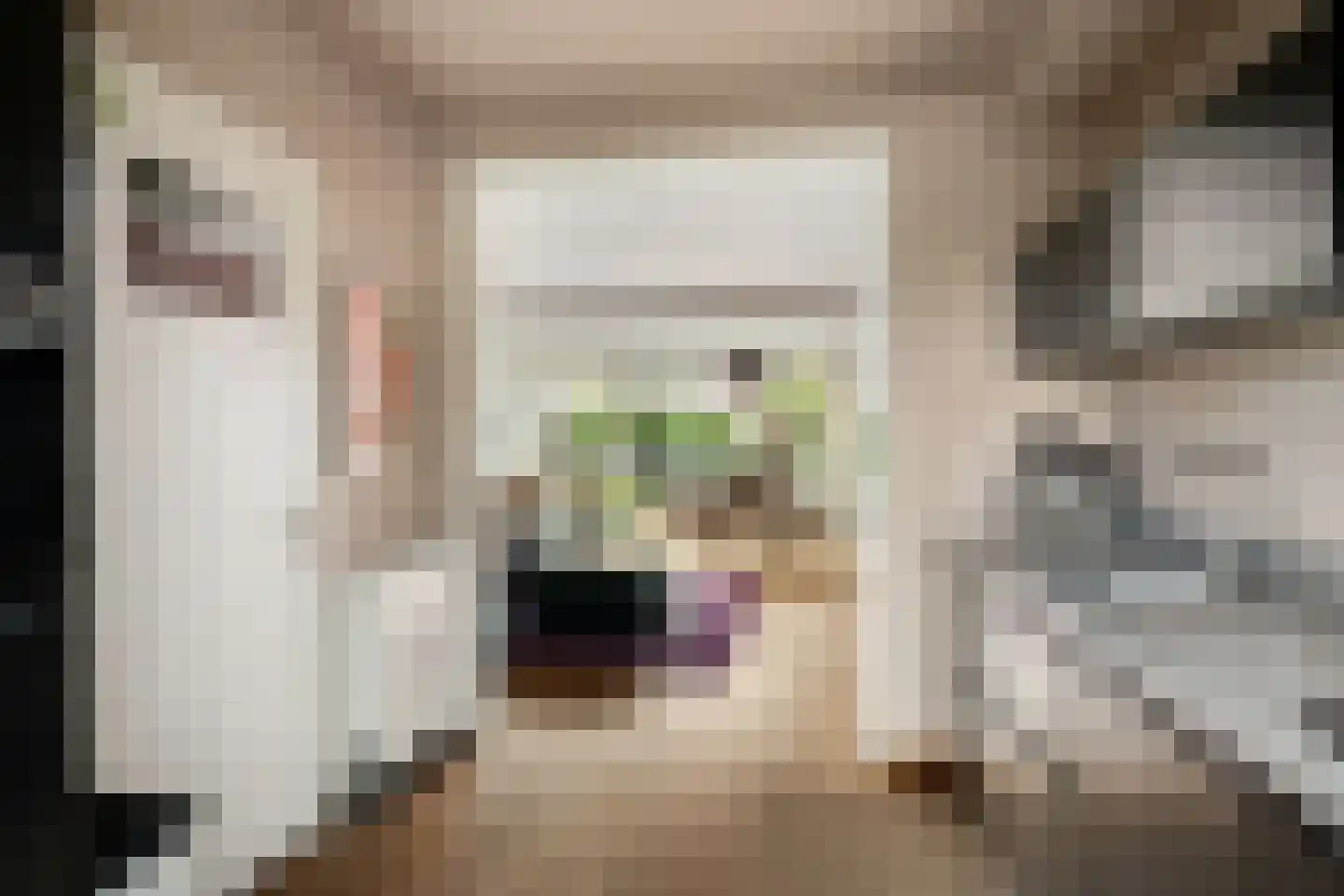 Zuidersingel 61 Berkel en Rodenrijs thumbnail 8