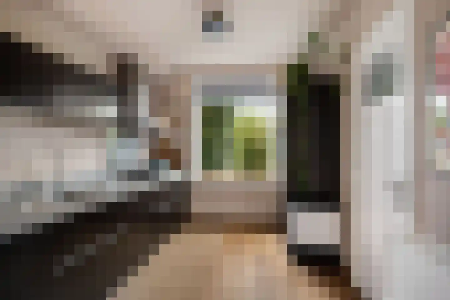 Zuidersingel 61 Berkel en Rodenrijs thumbnail 9