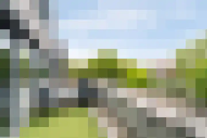 Zuidersingel 68 Barendrecht thumbnail 19