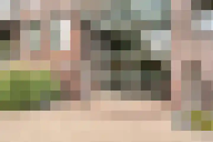 Zuidersingel 68 Barendrecht thumbnail 8