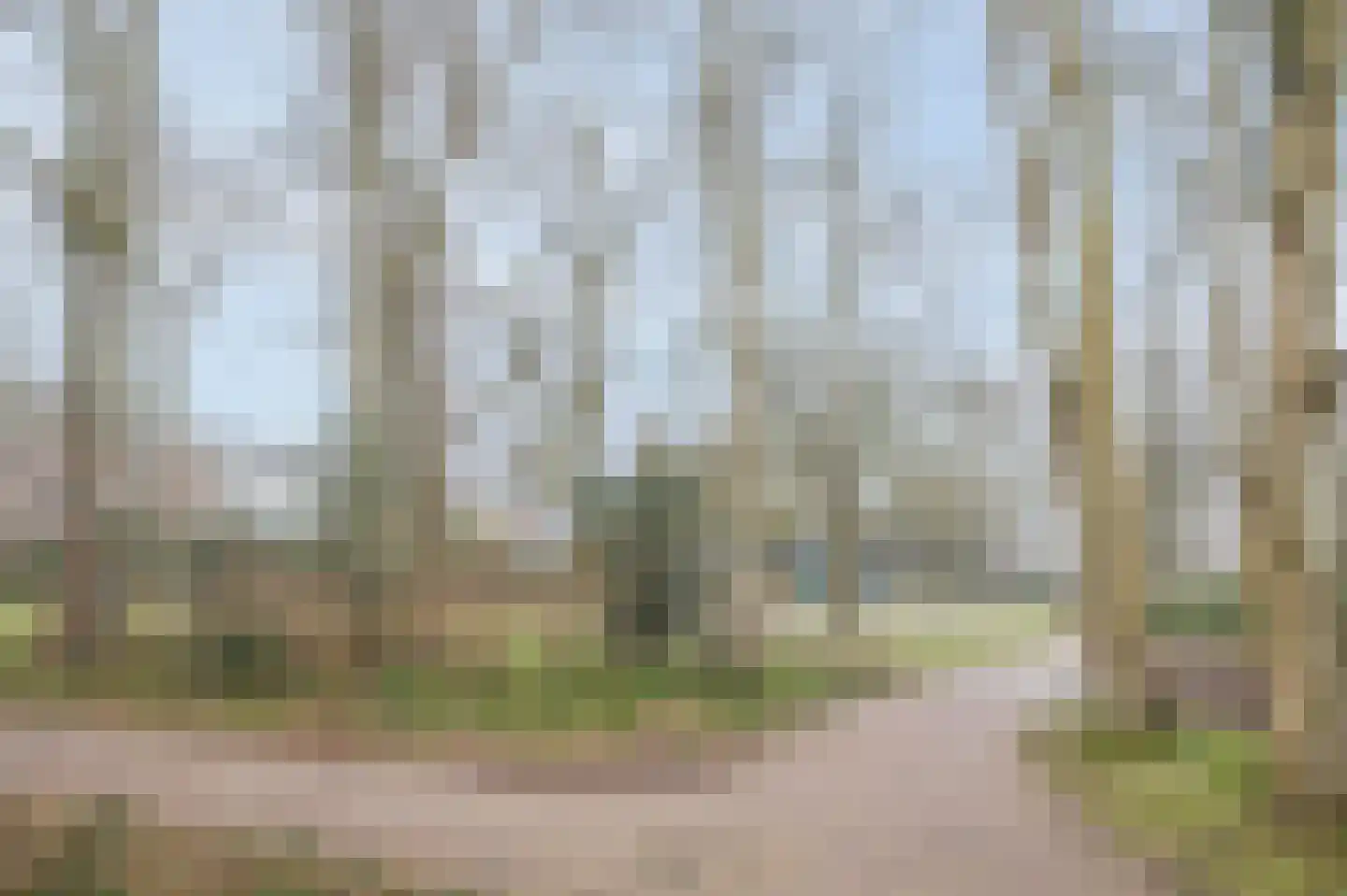 Zuidersingel 71 Assen thumbnail 45