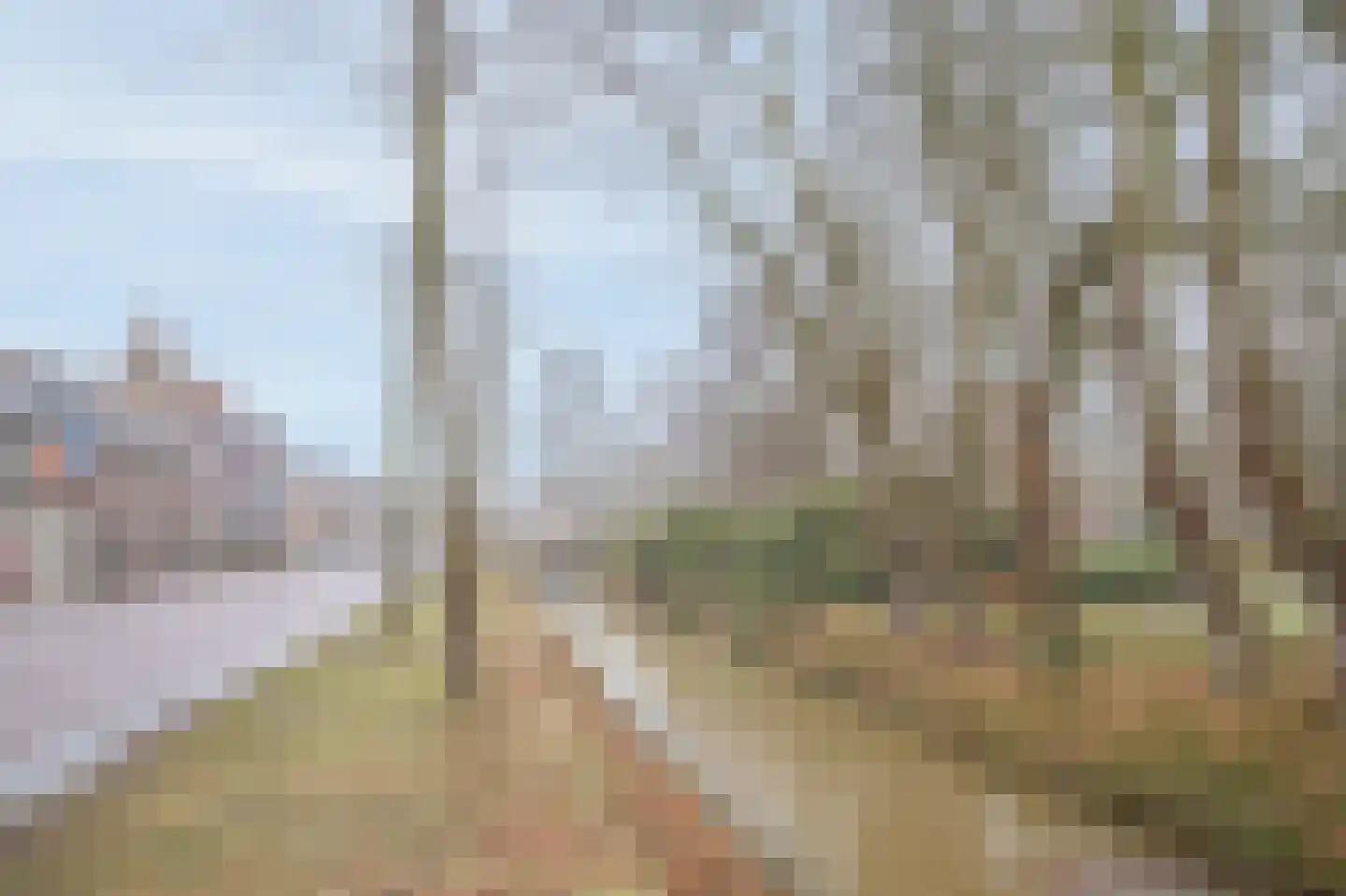 Zuidersingel 71 Assen thumbnail 5