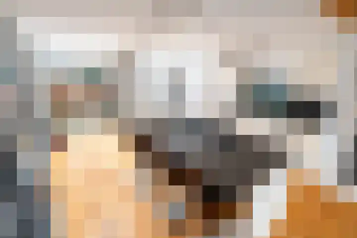 Zuidersingel 74 Berkel en Rodenrijs thumbnail 13
