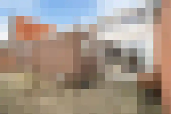 Zuidersingel 74 Berkel en Rodenrijs thumbnail 19