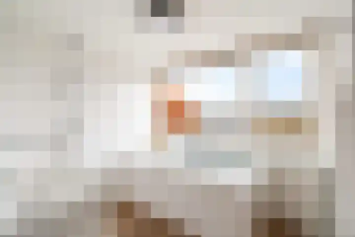 Zuidersingel 74 Berkel en Rodenrijs thumbnail 30