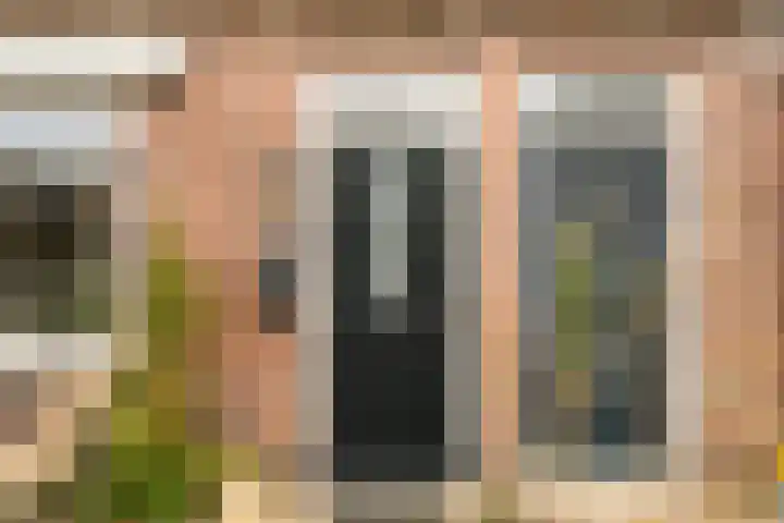 Zuidersingel 74 Berkel en Rodenrijs thumbnail 6