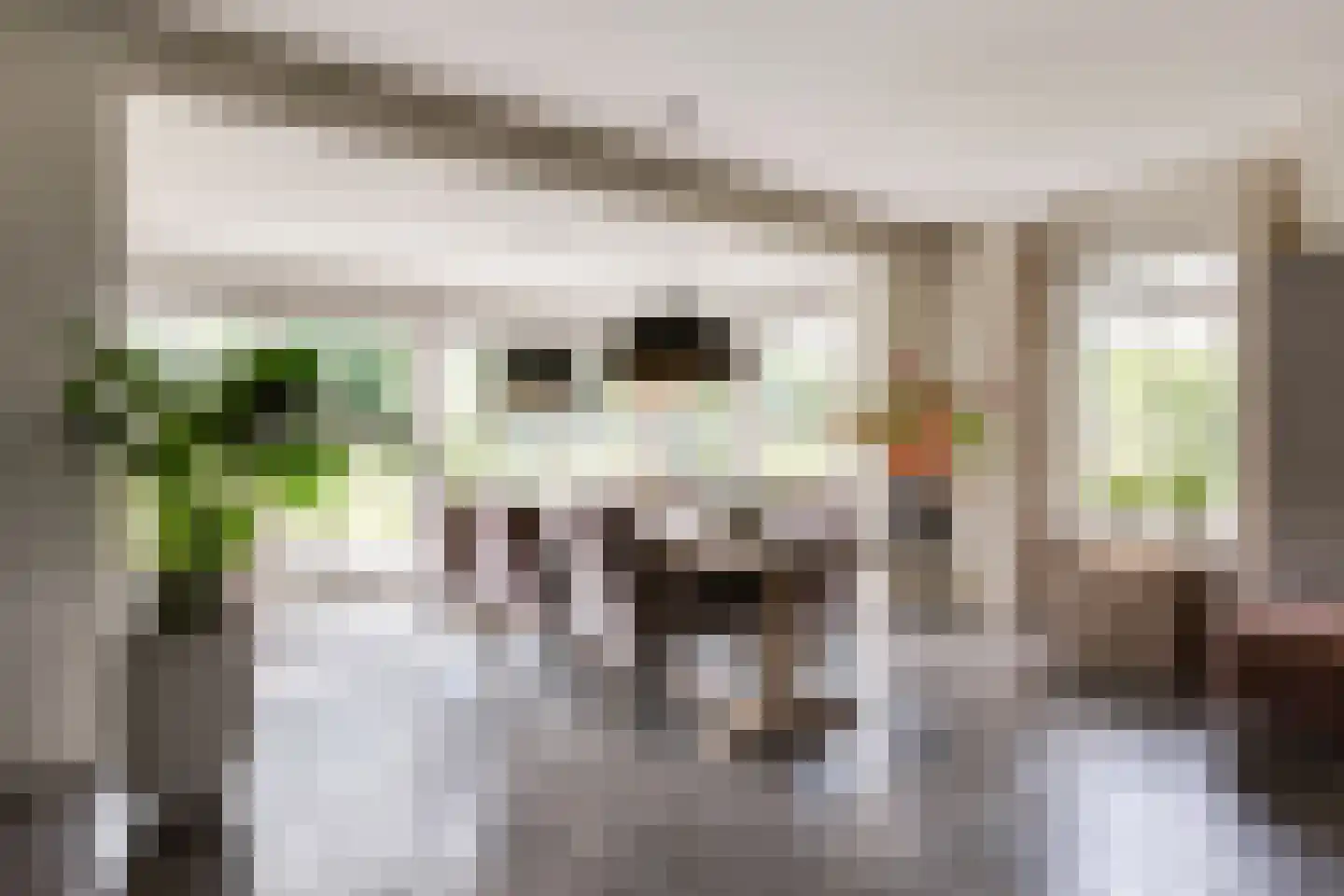 Zuidersingel 75 h Berkel en Rodenrijs thumbnail 14