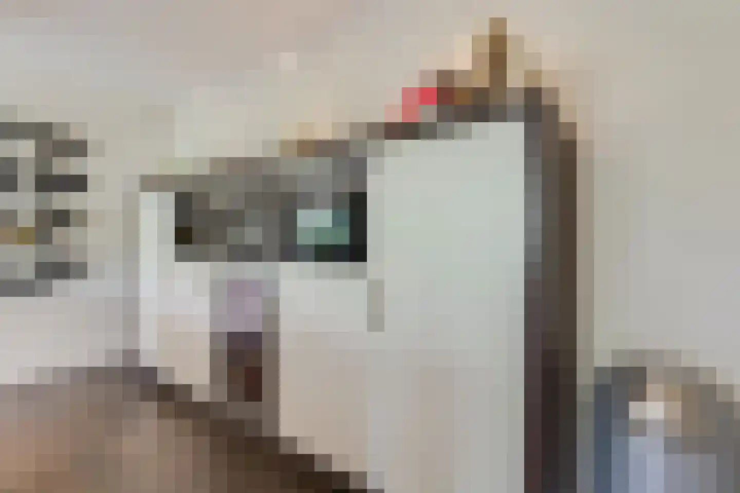 Zuidersingel 75 h Berkel en Rodenrijs thumbnail 18