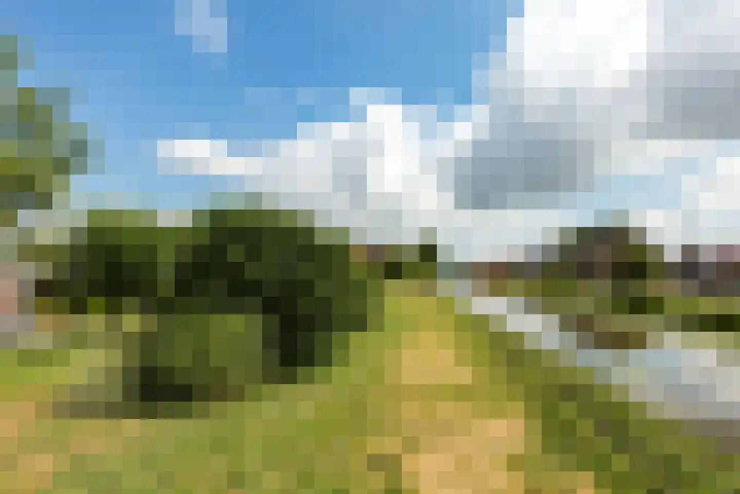 Zuidersingel 75 h Berkel en Rodenrijs thumbnail 38