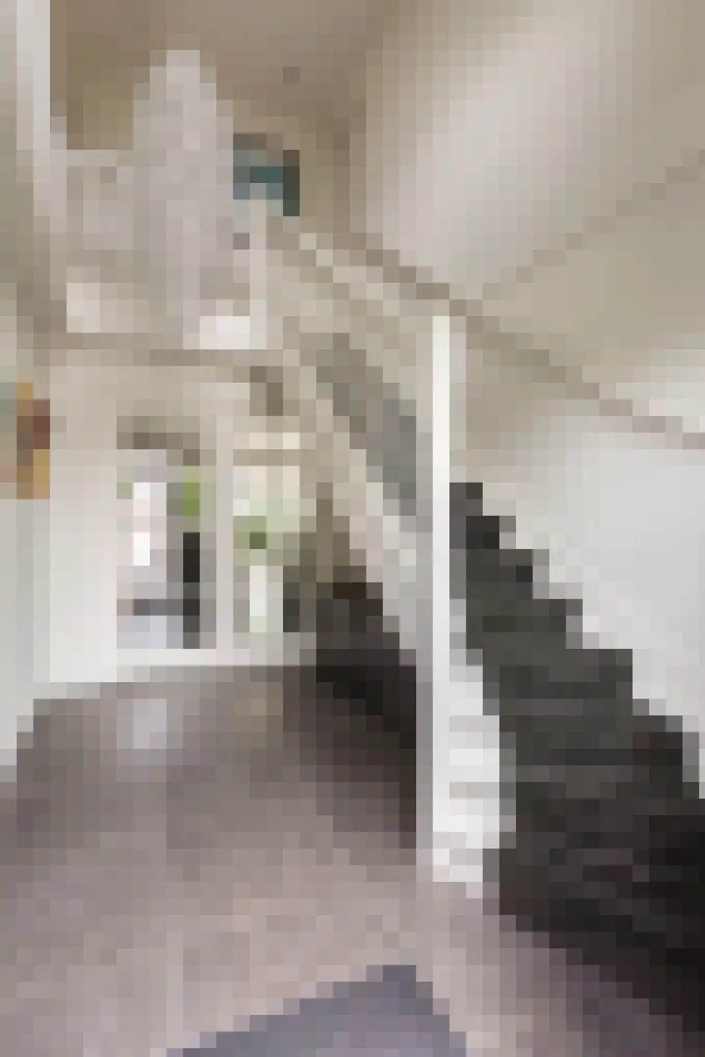 Zuidersingel 75 h Berkel en Rodenrijs thumbnail 8