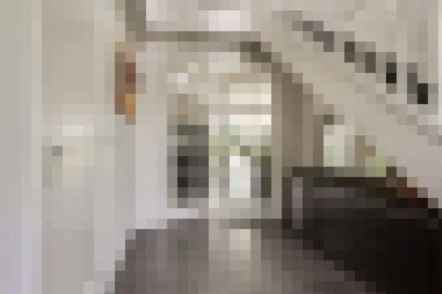 Zuidersingel 75 h Berkel en Rodenrijs thumbnail 9