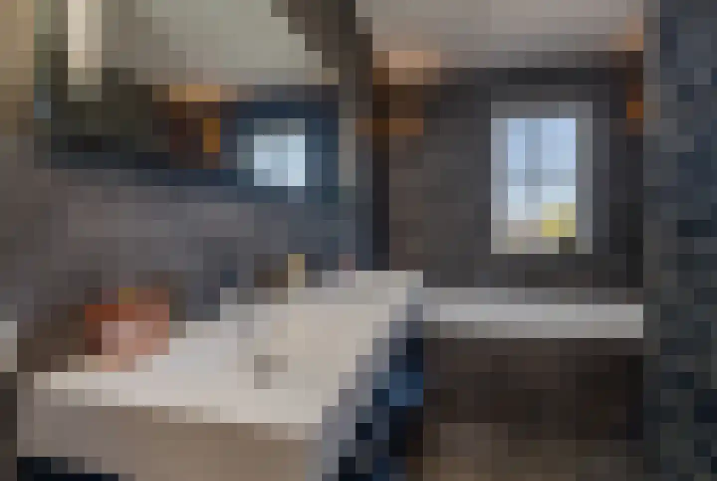 Zuidersingel 77 l Berkel en Rodenrijs thumbnail 17