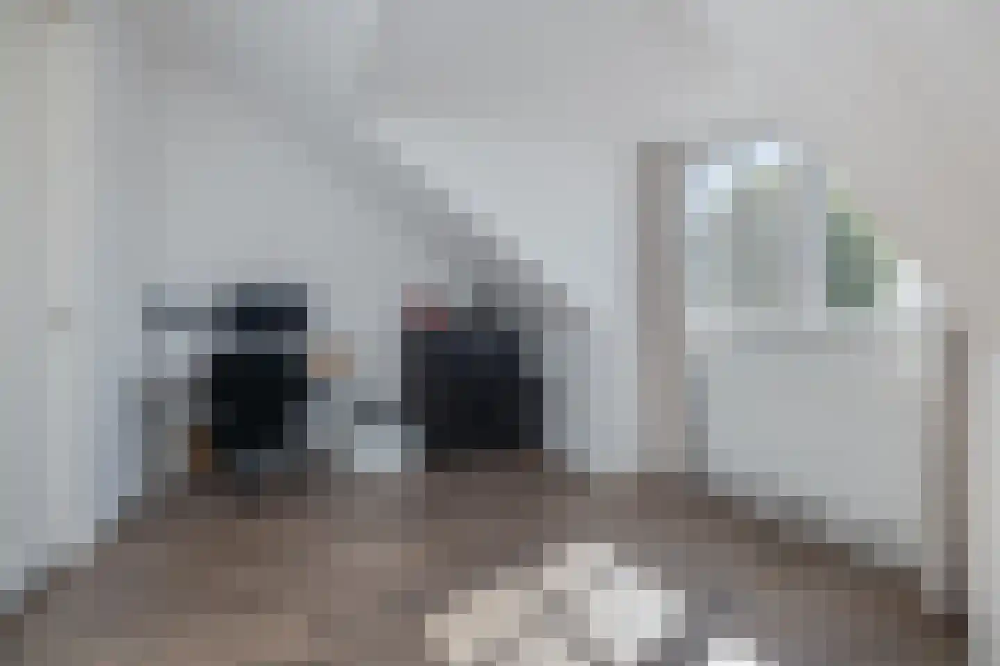 Zuidersingel 77 l Berkel en Rodenrijs thumbnail 22