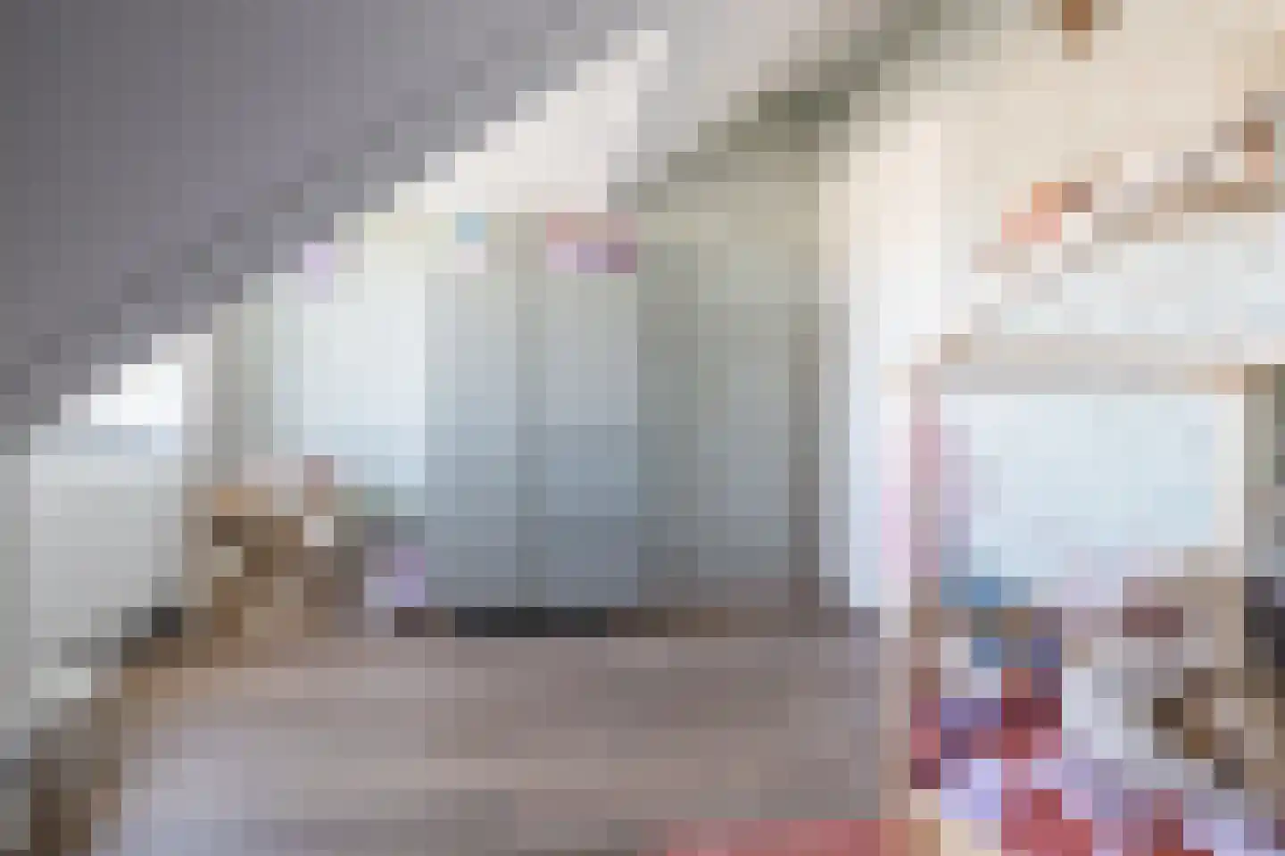Zuidersingel 77 l Berkel en Rodenrijs thumbnail 24